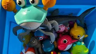 Игрушки и факты о морских животных для детей | Изучаем морских существ для дошкольников | морские...