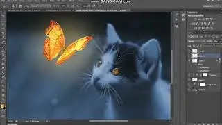 Photoshop Tutorial | Cat Photo Manipulation with Glowing Butterfly Effect | Luminure