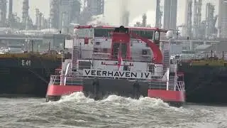 VEERHAVEN IV - NEUSHOORN   (3 x 1875 pk)