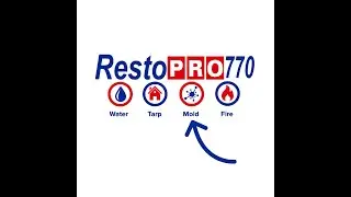 Mold Remediation Experts