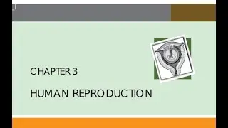 HUMAN REPRODUCTION