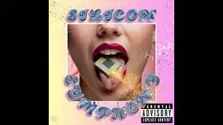 bupkiss - Silicon Symphony (Full Album)