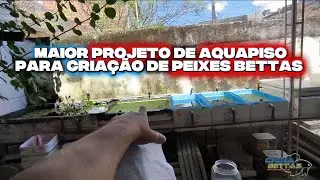 MAIOR PROJETO DE AQUAPISO PARA CRIAÇÃO DE PEIXES BETTAS DO BRASIL (APRESENTAÇÃO DO PROJETO)
