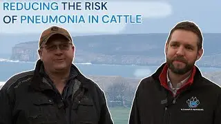 FAS TV S2 E25: Reducing The Risk of Pneumonia in Cattle