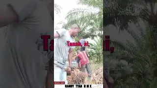 grup peloding buah sawit di area kltim🌴Cipta Rhandy Tyan🌴🌴