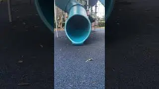 Wooooo