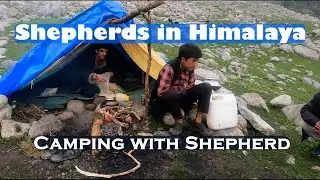Shepherds in Himalaya| Camping with Shepherd in Kareri Lake | Dhauladhar Mountain Range
