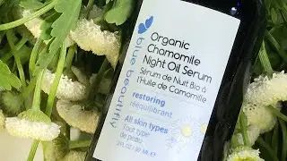 How to use Organic Chamomile Night Oil Serum