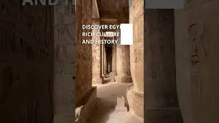 Our most popular riding holiday to date! #rideegypt #discoveregypt #arabianhorse #horseriding #horse