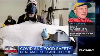 Checking in on America's food supply