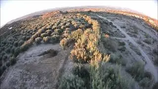 Miss Mayhem FPV: Monday Gold Getter
