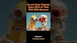 Do you know Humans Share 60% of Their DNA With Bananas #facts #mindbending