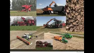 compilatie bieten rooien en laden en diversen graan oogsten #oostgroningen  #farmers #4k