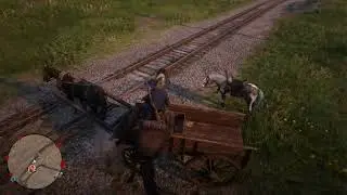 (PS4 RDO) Some Top Notch Ghost Horse Glitching Around Emerald Ranch - Camera A