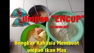 Membuat umpan ikan mas dasaran Jagung !! Umpan ENCUP !! Umpan Amis !!