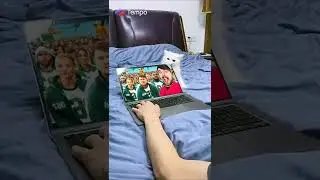 cat bites mrbeast squidgame