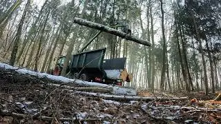 Noch mehr Birken-Aufarbeiten und R&uuml;cken mit Stihl MS261 & MS500i