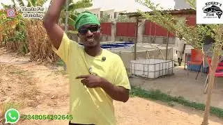 ЗАЧЕМ И КАК ИСПРАВЛЯТЬ МУСОРЫ ИЗ КОРМУШЕК ВАШЕГО ИНКУБАТОРИЯ