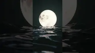 Fall asleep to the soothing sound of the ocean. Full length video available now