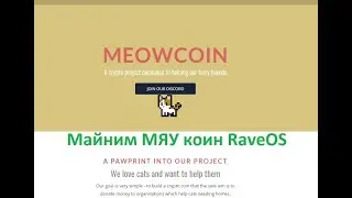 Майнинг Мяу😼Коин на RaveOS, meowcoin MEWC