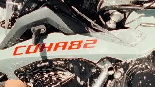 IQUE MC - COHAB2