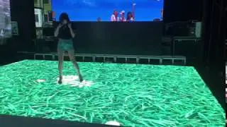 Interactive VTEAM LED dance floor screen , Beauty underfoot flowers