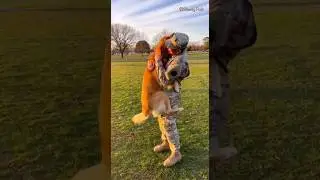 🐶🇺🇸 Dog finally spots their human in the park #dog