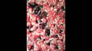 1. FC K&ouml;ln - Eintracht Frankfurt *Choreographie* 13.02.2016* 68. Geburtstag* 3:1