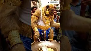 💎 Gold Monkey Chef: Cooking Garlic Rice at Indian Street Stall 🍲 | Tasty & Fresh Meals