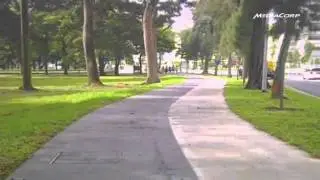 Jurong Lake Park will be part of island-wide green corridor