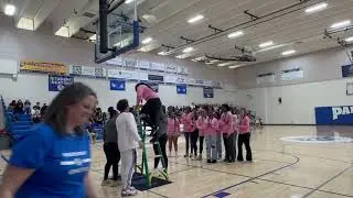TIS| Spring Pep Assembly