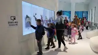 Magic Wall at IceWorld in Sosto Zoo