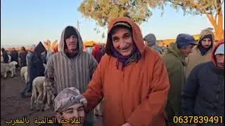 مباشر من سوق خميس سيدي حجاج ولاد مراح بتاريخ 1\15\2026