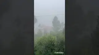 Ausia Murree