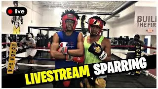 K9 Boxing Livestream: Sparring Session #33
