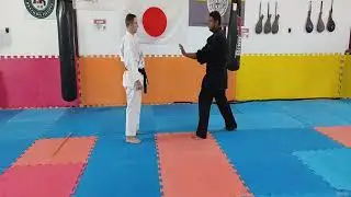 13 - T&eacute;cnicas e dicas taikyoko gedan dai ichi - Treinamento completo - Taikyoku - Goju Ryu