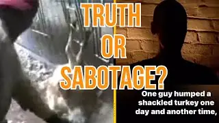 Butterball Turkey Recall: Truth or Sabotage? #butterball  #nateandkatetalkshow