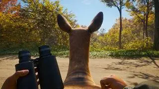 The Game Wants You Dead! (Game Fails #524)
