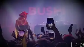 BU$HI (Barbey, 20221102) - Qatari
