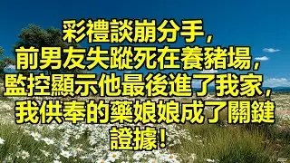 8.8萬彩禮談崩分手，前男友突然失蹤，警察說他死在養豬場，監控顯示他最後進了我家，我供奉的藥娘娘成了關鍵證據！ #彩禮分手失蹤 #養豬場拋屍 #監控鎖定嫌疑