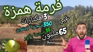 فرمة رائعة بمساحة 3 هكتار grande  ferme