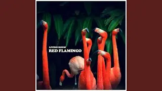 Red Flamingo