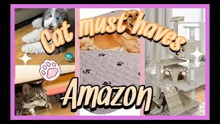 🐈 Cat must haves tiktok // amazon cat finds // amazon must haves 2022
