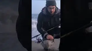 Un MOSTRO inaspettato e DELUDENTE 😱😅 video completo in descrizione