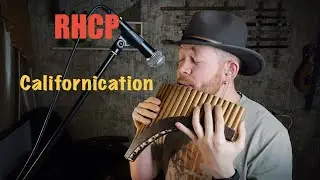 Red Hot Chili Peppers - Californication (flute and guitar version) 