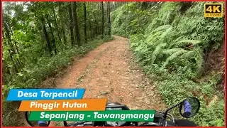 Desa Terpencil Di Pinggir Hutan Pinus Tawangmangu