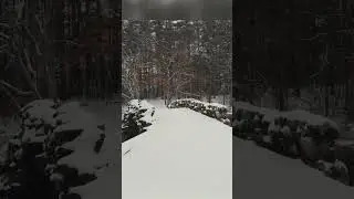 walking through a peaceful snowy forest ❄️ #relaxing