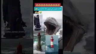 Light House K Neechy Sharq Hai #lighthouse #job