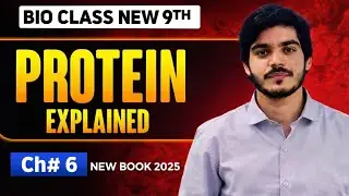 Proteins | Structure of Protein