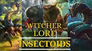 Witcher 3 Lore: Every Insectoid Monster Explained - Bestiary Compilation